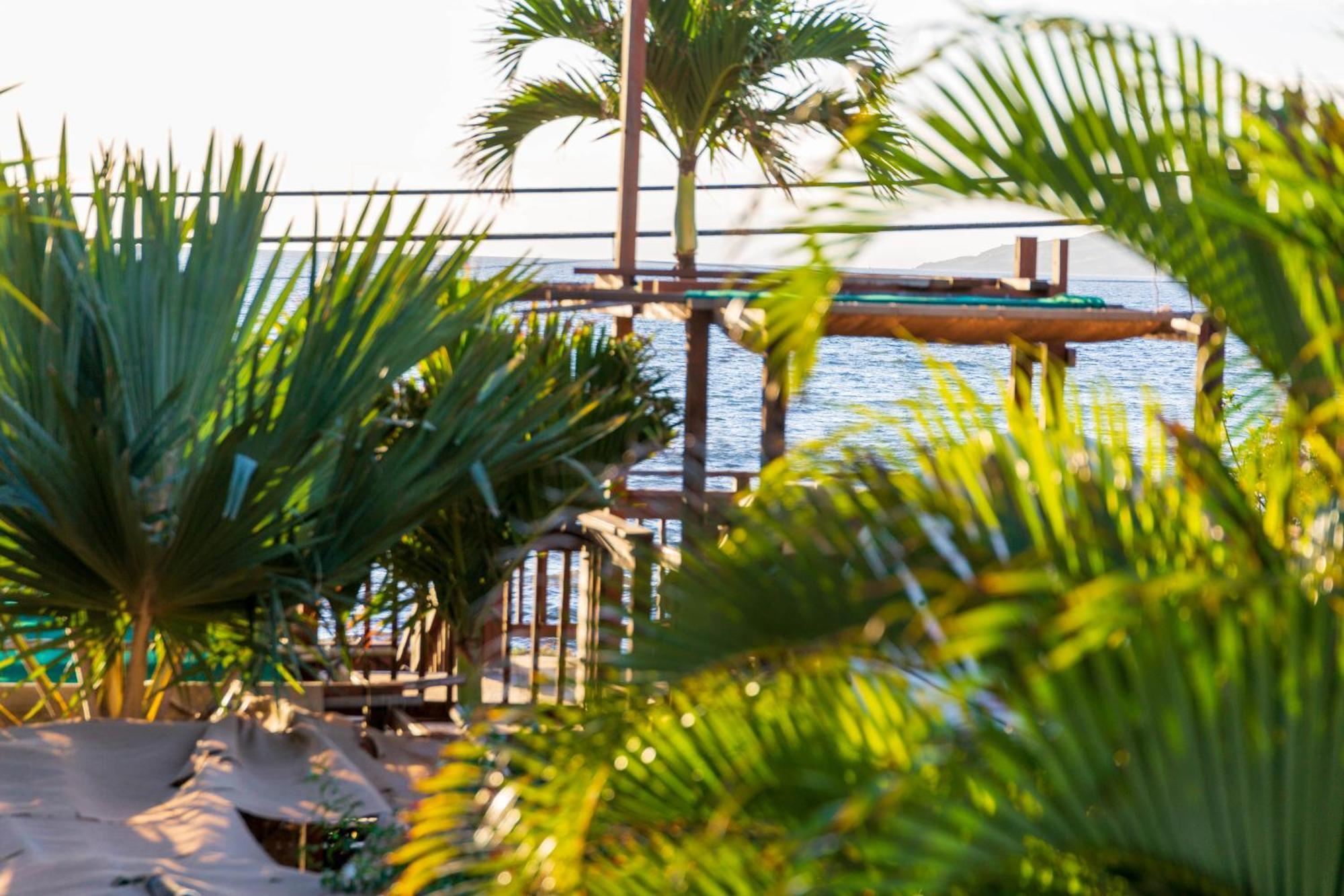 Bamboo Suite, 1 Bedroom, Sleeps 4, Pool & Bbq, Pre-Renovation Summer Sale Kihei Exterior foto